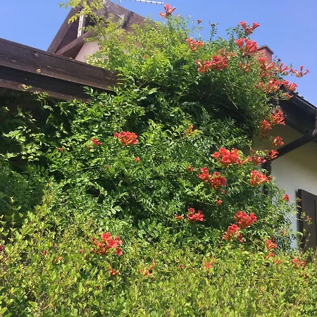 Dom W Sielskim Klimacie W Sercu Mazur Holiday home